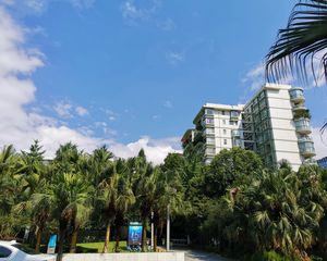 置信丽都花园D区4室1厅南