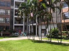 房子是复式房,现在格局已做好了,带前后花园的!