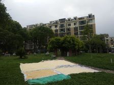 好房必看(诚意出售)(价格可谈)(看房方便)