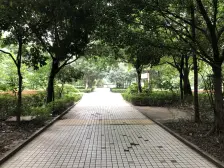 五公里的品质大三房出行便利购物方便