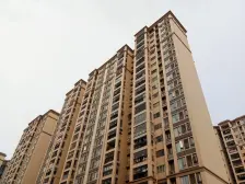 龙光玖御湖 4室2厅 东南