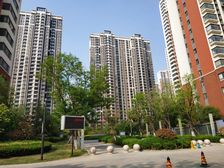 鲁商凤凰城178大平层,毛坯好房中间楼层有车位