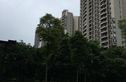 富力城E区实景图