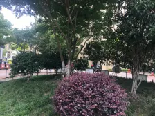 地铁1.2公里,诚意出售 必卖好房 近印象城 满五