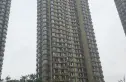 东北明珠实景图