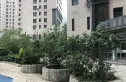 阳光馨苑实景图