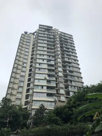 典雅麒龙山水实景图