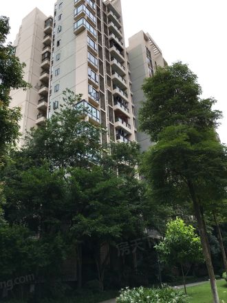 富力城E区实景图