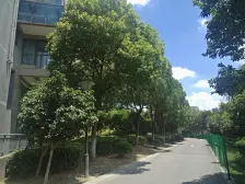 园林小区精装 2+1户型 视野开阔采光无遮挡