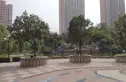 有色君合园实景图