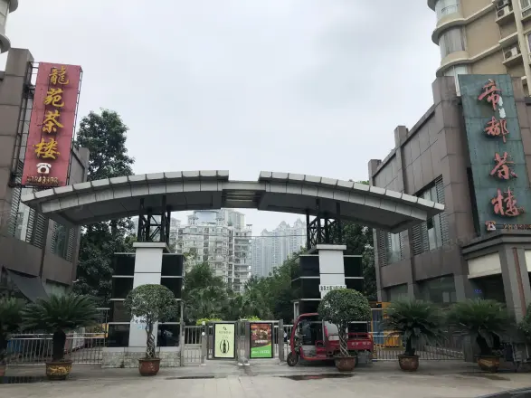 典雅麒龙山水实景图