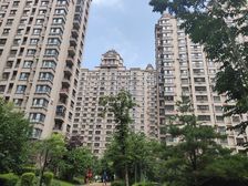 无大税 楼层好 南向 格局板正 采光充足 诚心出售