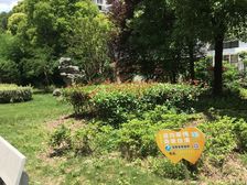 中心位置南北通,全明户型,近地铁,诚意出售