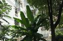盛源花园实景图