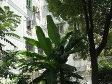 钥匙看房,中间楼层,中心位置,边套全明,一梯两户