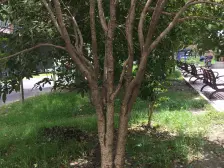 28万全新装修 可拎包入住 4楼三房