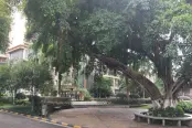 微信图片_201907101740412