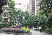 微信图片_20190710174040