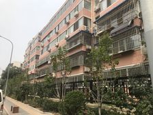 杨庄北区3室1厅南东北