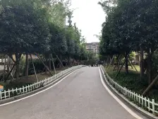 李家沱九公里轻轨电梯洋房 精装好3房 没住过可做婚房