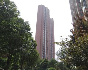东方今典旁,临洛河小区,二梯二户大三室,公摊小