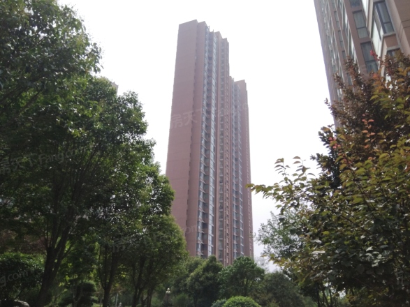 有色君合园实景图