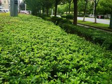 文华名邸三房中上好楼层车库车位诚心卖