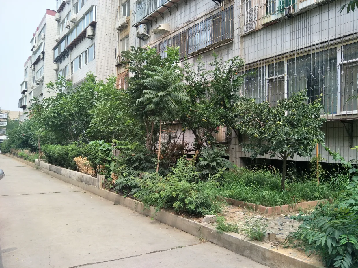 【济南东方花园(千佛山)小区,二手房,租房】- 济南房天下