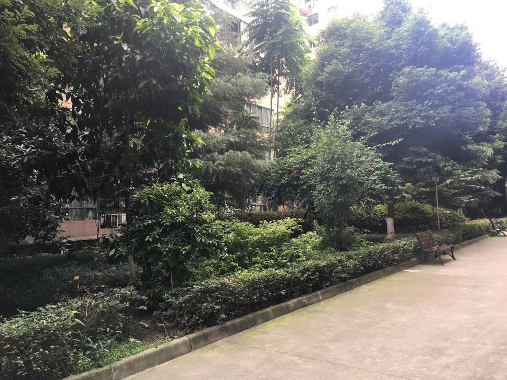 小区相关图