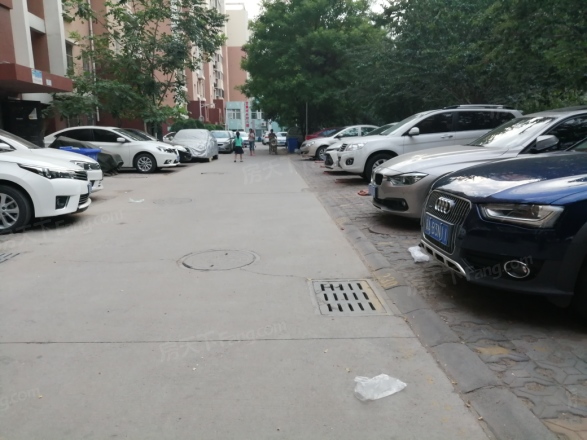 明珠花苑实景图