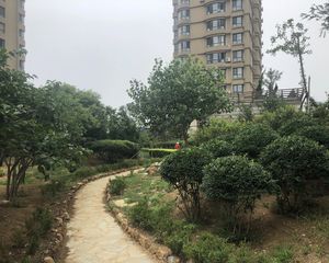 东北明珠精装两室三阳户型保持好看房方便诚心卖