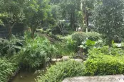 微信图片_201907101740415