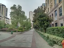 南山金城,F户,全新婚装,满五唯一