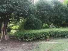 05年 南北通透 汇师双书包 中区楼层 出行方便