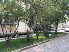 太平桥小区央企家属楼管理好精装大一居