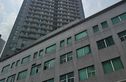 宝发金钻实景图