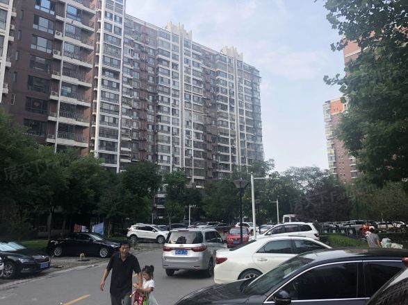 金汉绿港实景图