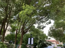 D用露台 近地铁 两卫 诚意出售 随时交房