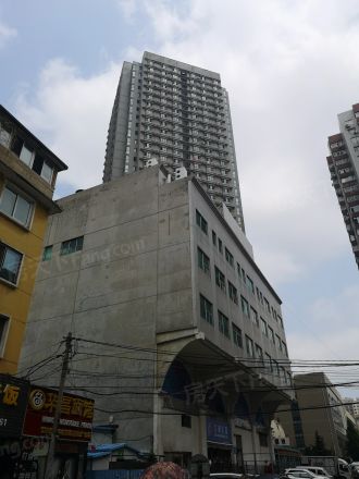 宝发金钻实景图