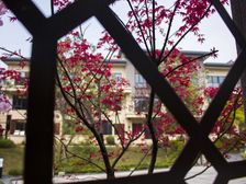 碧桂园上观 4室2厅 东南 南 西南