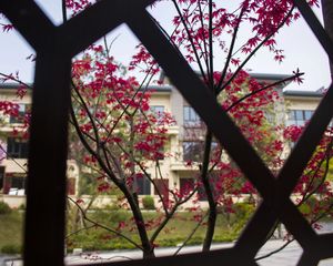 碧桂园上观 4室2厅 南