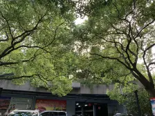 海琪园3室2厅2卫南朝向2500.00万元/套出售