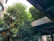 高区楼层看陆家嘴三件套2+1户型业主诚意出售带车位