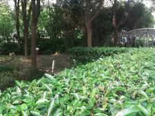 2005年小区,得房率高,采光无影响,南北双阳台全明