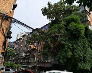 洪都大院老牌小区读书生活很方便低楼层随时看房