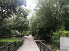 大三房,好楼层,采光视线棒,业主诚意出售