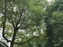 沧浪新城·天辰花园·1室·1厅