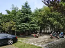 公务员小区 消防小区 大三房 可以按照自己风格装修