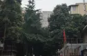 大源南二街48号院实景图