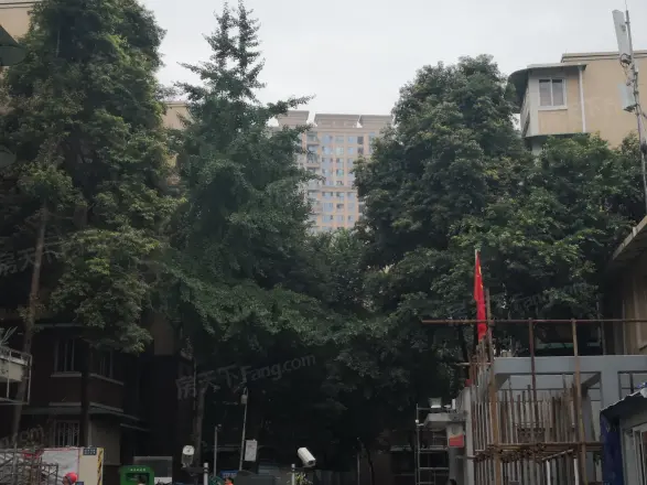 大源南二街48号院实景图